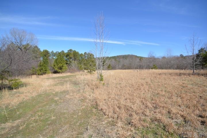 6799  Ferndale Cut Off  Little Rock, AR