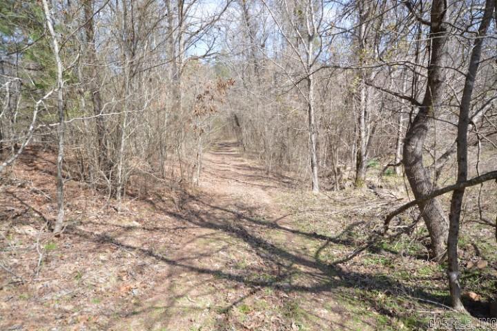 6799  Ferndale Cut Off  Little Rock, AR