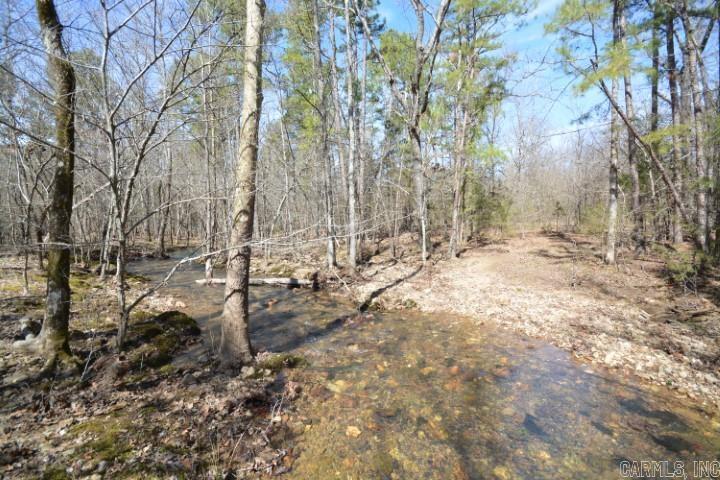 6799  Ferndale Cut Off  Little Rock, AR