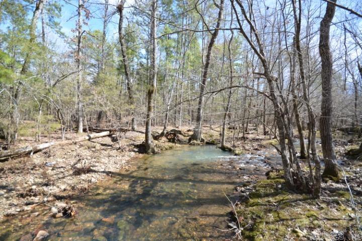 6799  Ferndale Cut Off  Little Rock, AR