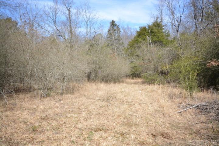 6799  Ferndale Cut Off  Little Rock, AR