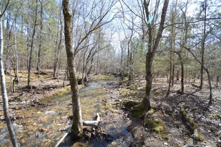 6799  Ferndale Cut Off  Little Rock, AR