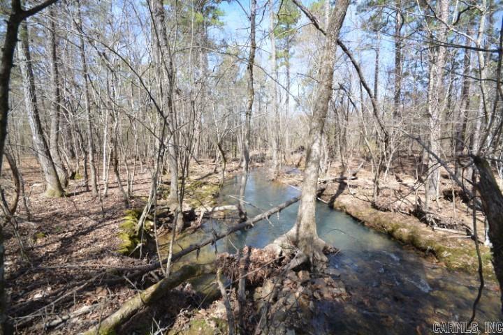 6799  Ferndale Cut Off  Little Rock, AR
