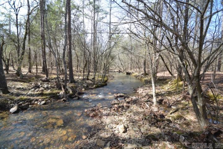 6799  Ferndale Cut Off  Little Rock, AR