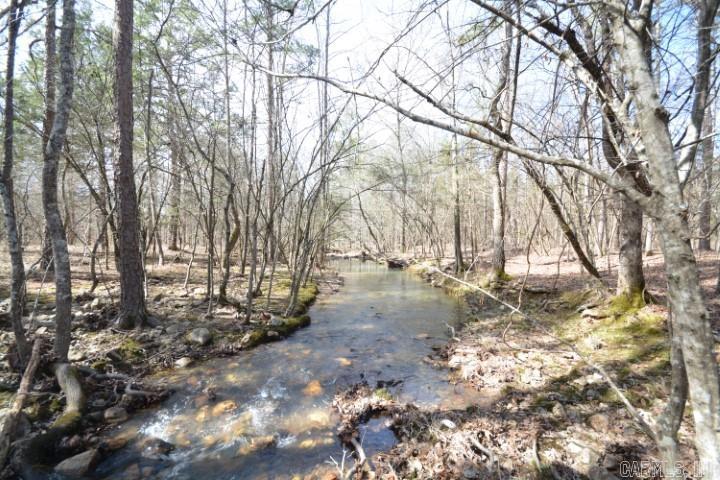 6799  Ferndale Cut Off  Little Rock, AR