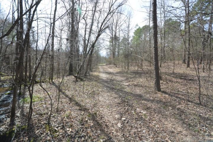 6799  Ferndale Cut Off  Little Rock, AR