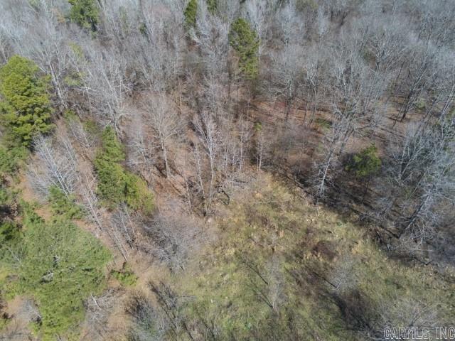 6799  Ferndale Cut Off  Little Rock, AR