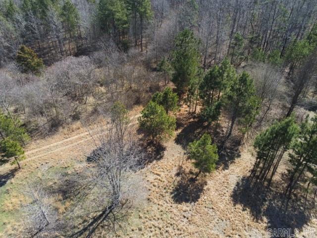 6799  Ferndale Cut Off  Little Rock, AR