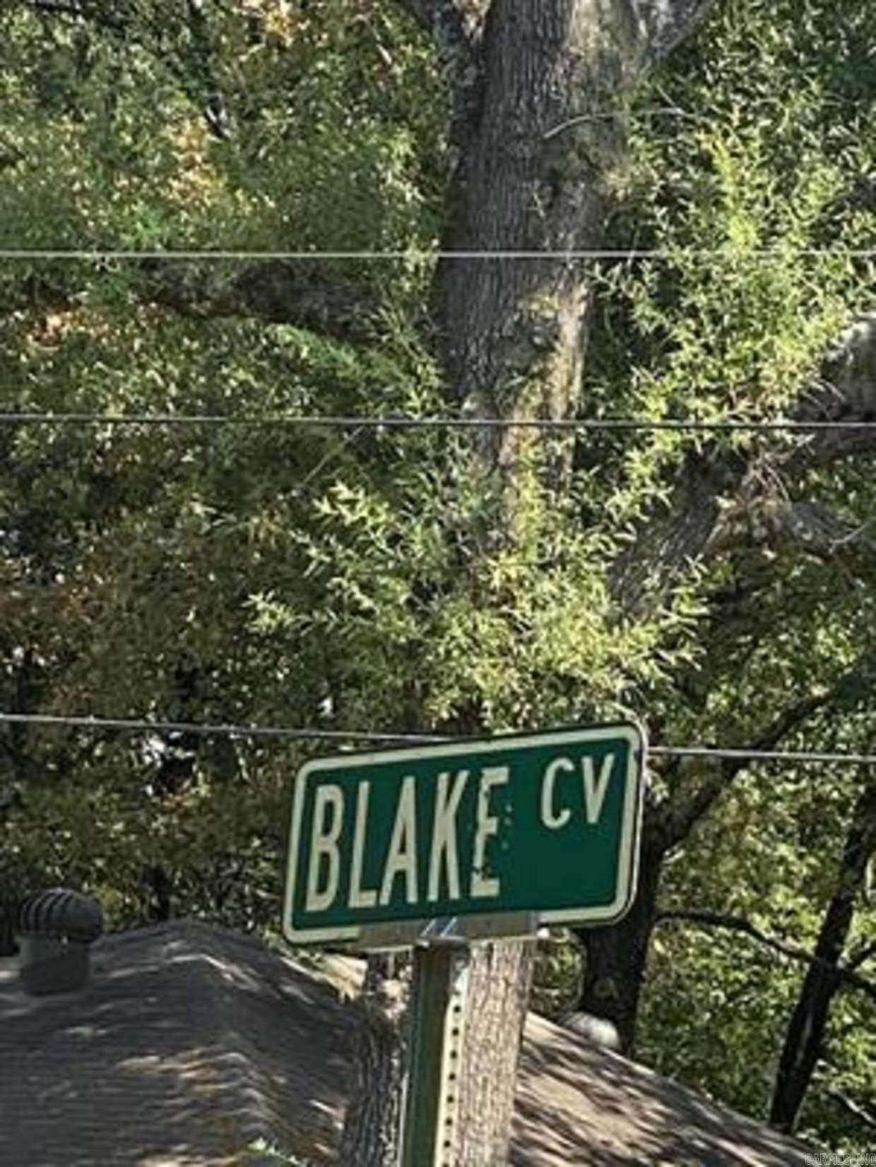 00  Blake Cove Lane  Greenbrier, AR