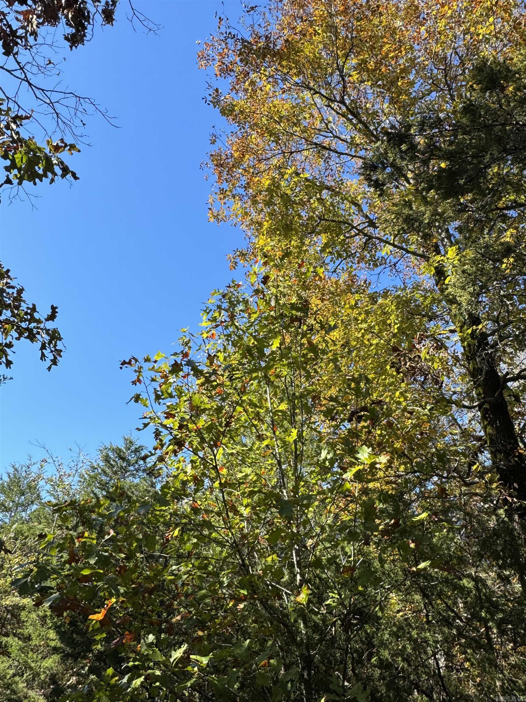 30  Cold Spring Trail  Conway, AR