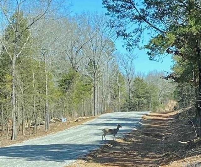 30  Cold Spring Trail  Conway, AR