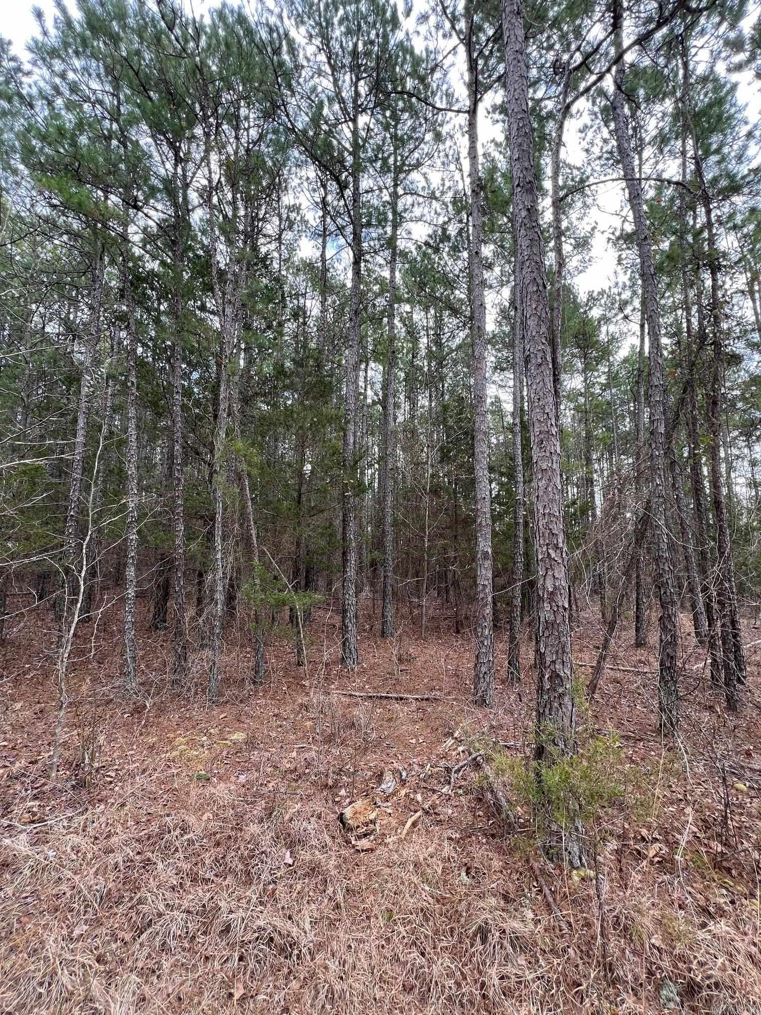00  Yates Ln  Tumbling Shoals, AR