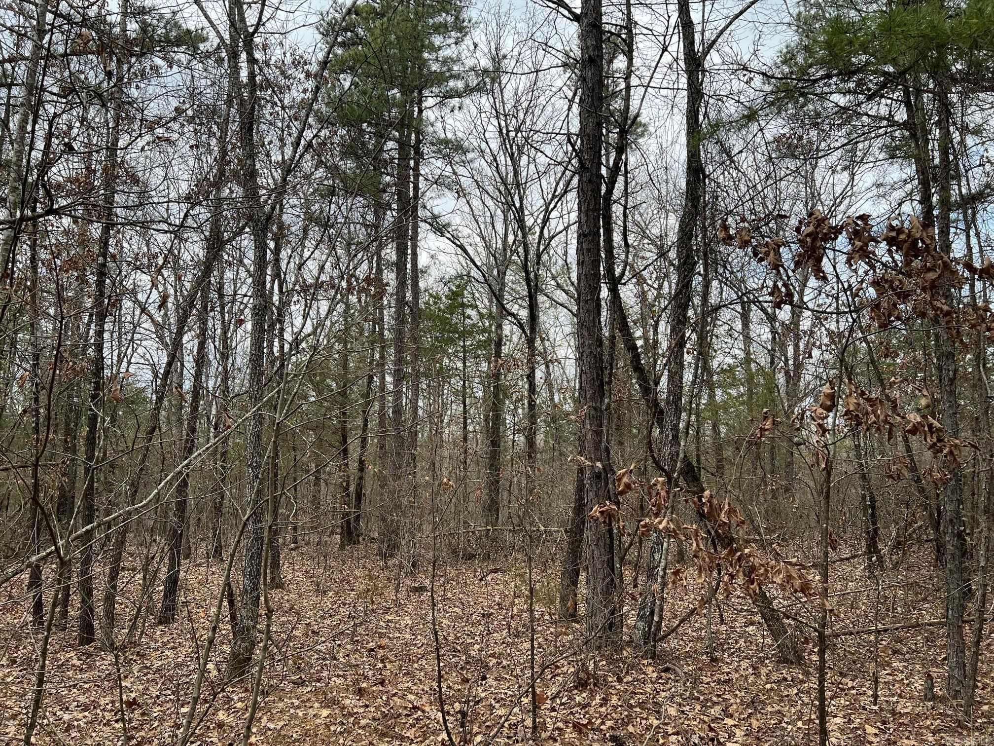 00  Yates Ln  Tumbling Shoals, AR