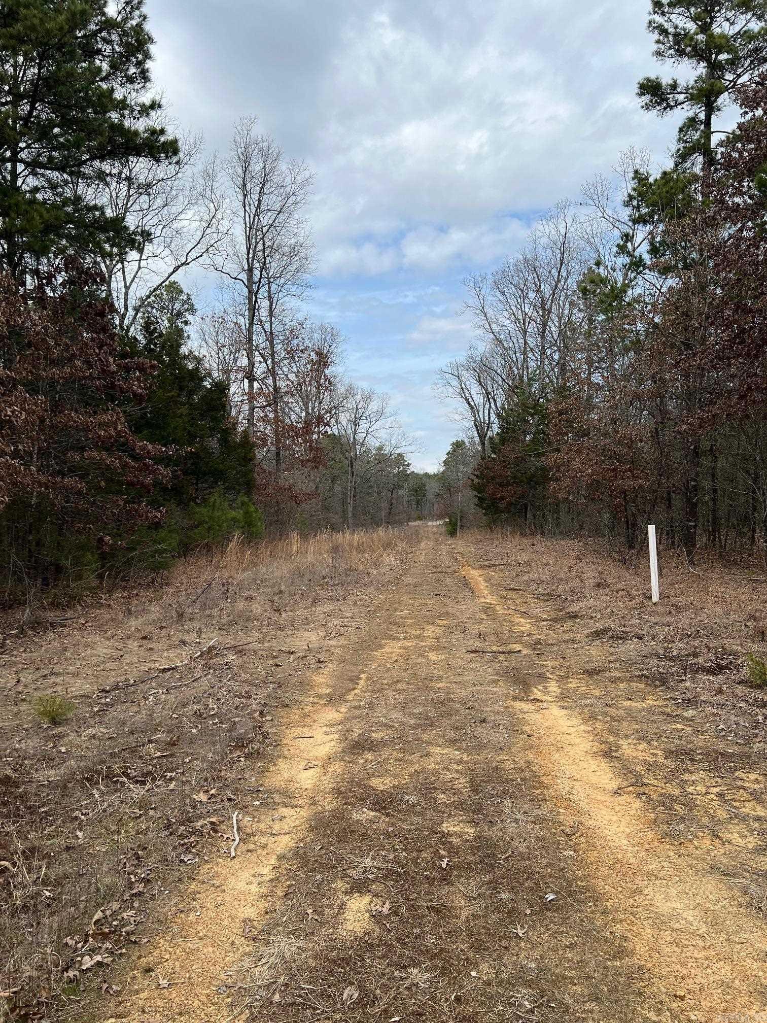 00  Yates Ln  Tumbling Shoals, AR