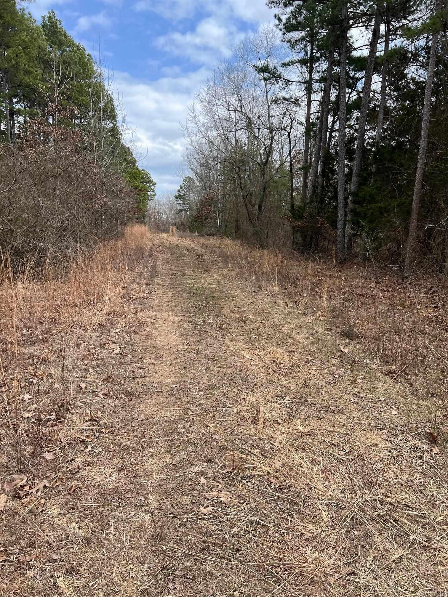 00  Yates Ln  Tumbling Shoals, AR