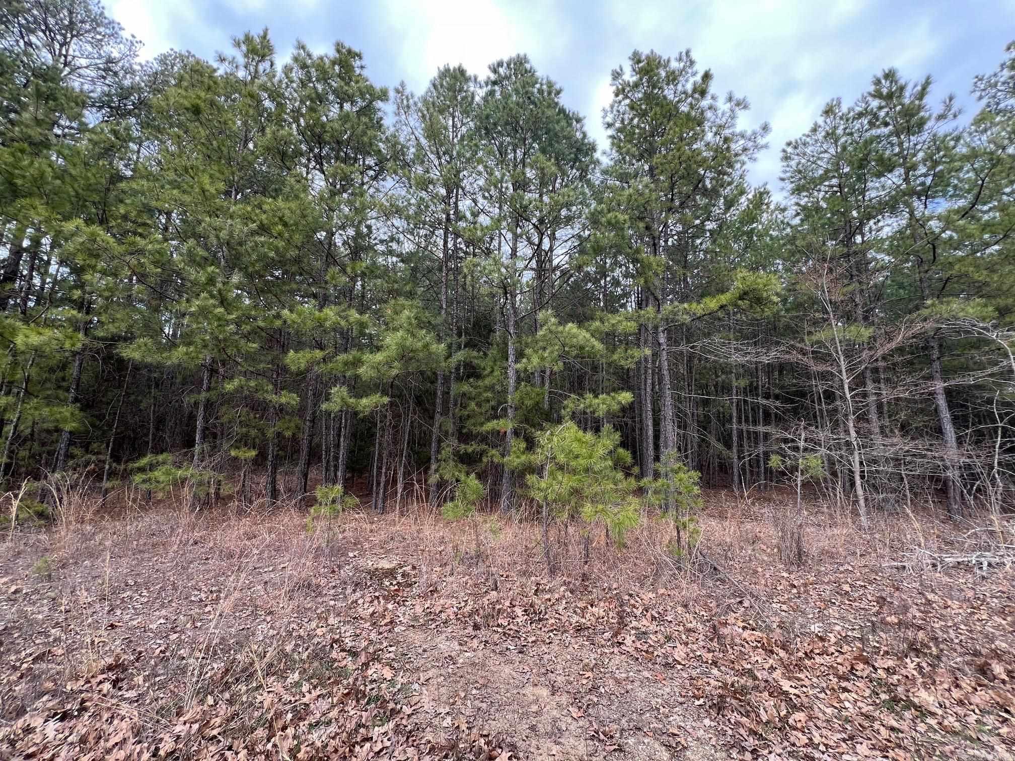 00  Yates Ln  Tumbling Shoals, AR