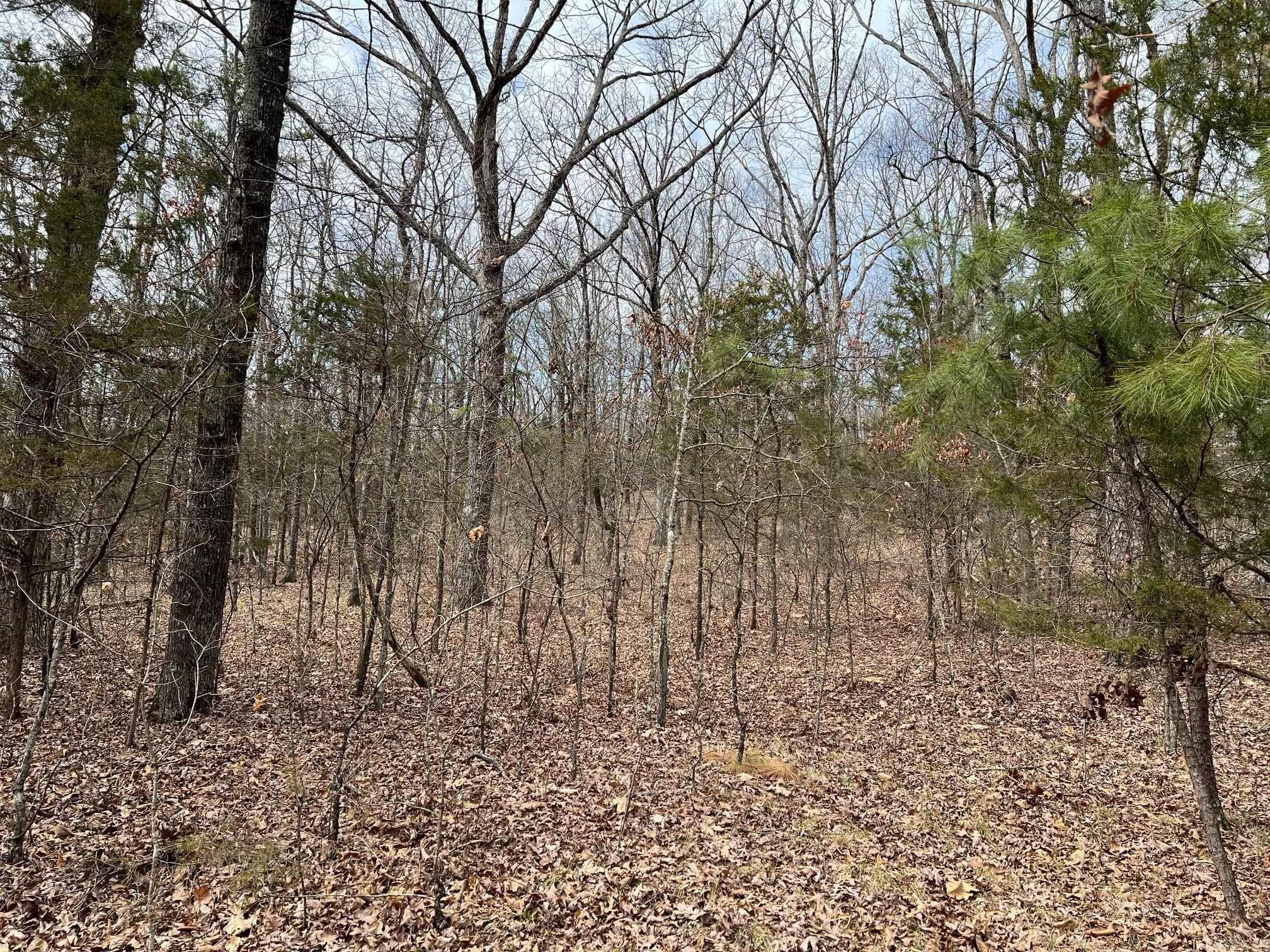 00  Yates Ln  Tumbling Shoals, AR