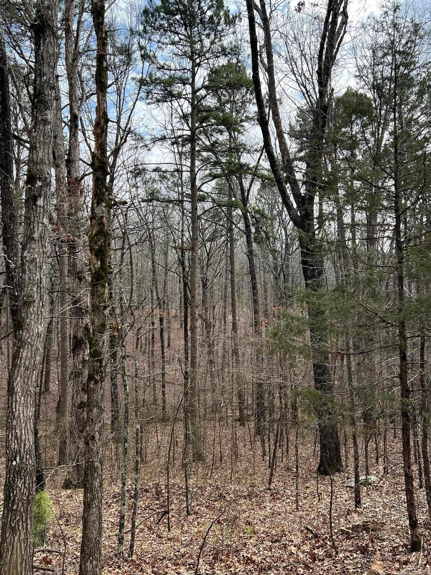 00  Yates Ln  Tumbling Shoals, AR