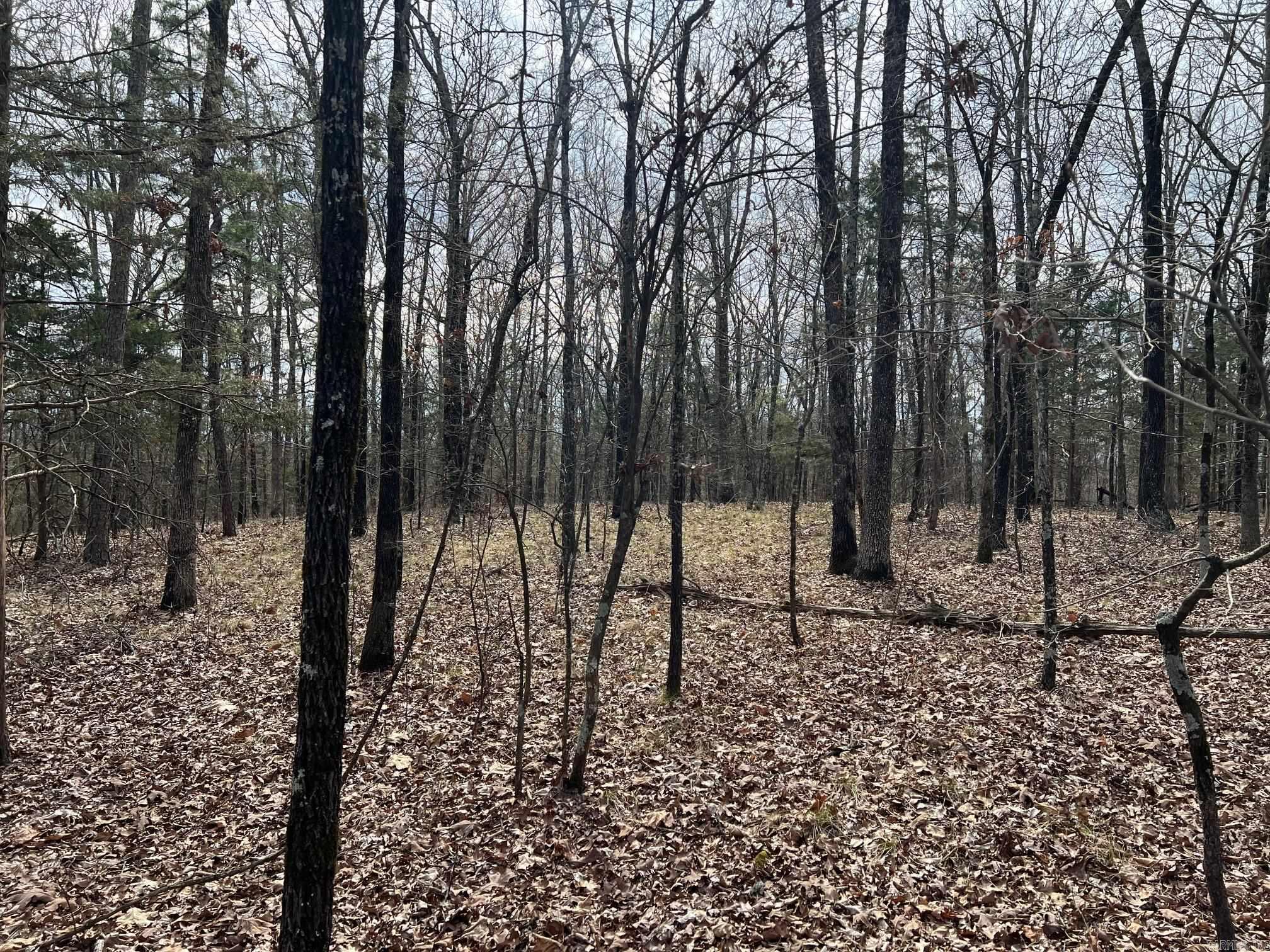 00  Yates Ln  Tumbling Shoals, AR