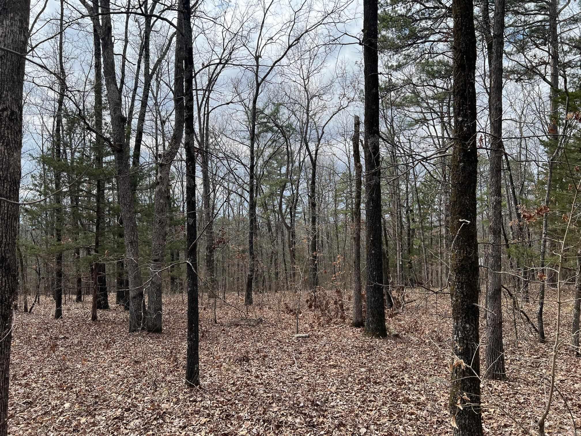 00  Yates Ln  Tumbling Shoals, AR