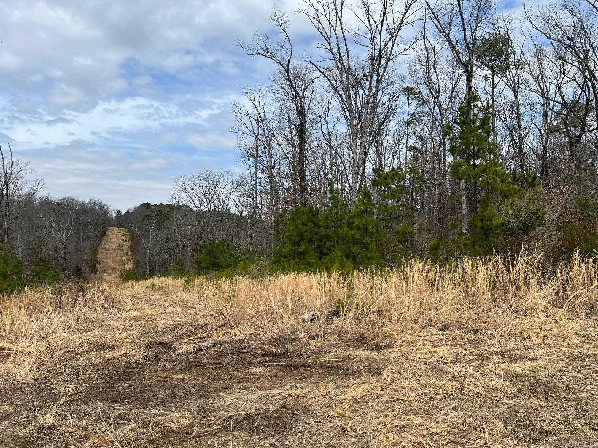 00  Yates Ln  Tumbling Shoals, AR