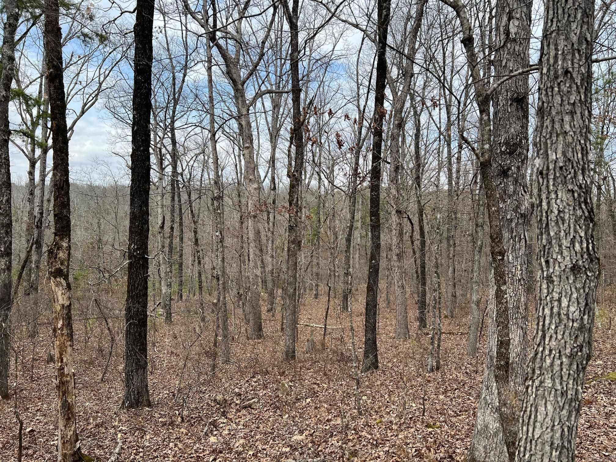 00  Yates Ln  Tumbling Shoals, AR