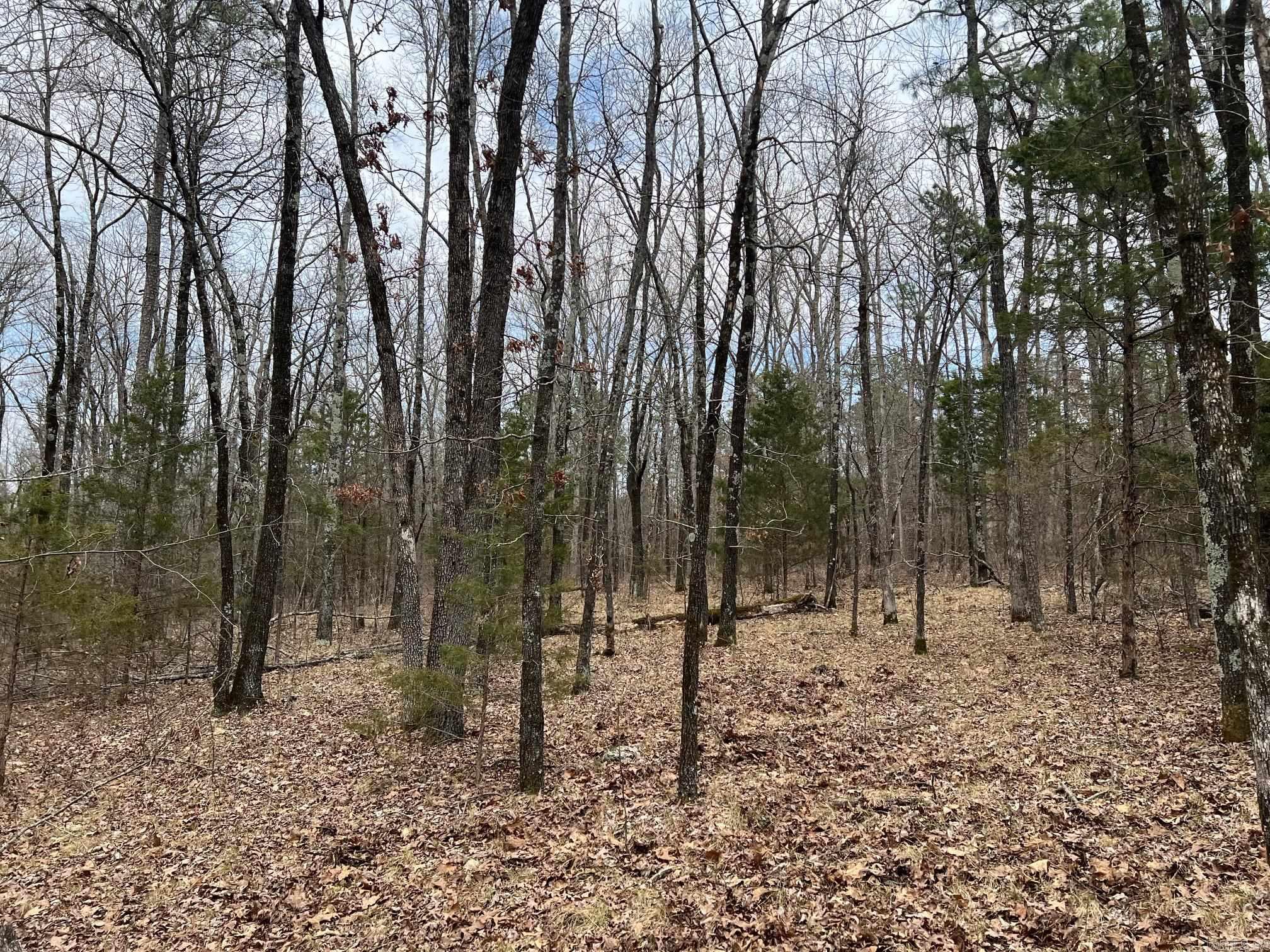 00  Yates Ln  Tumbling Shoals, AR