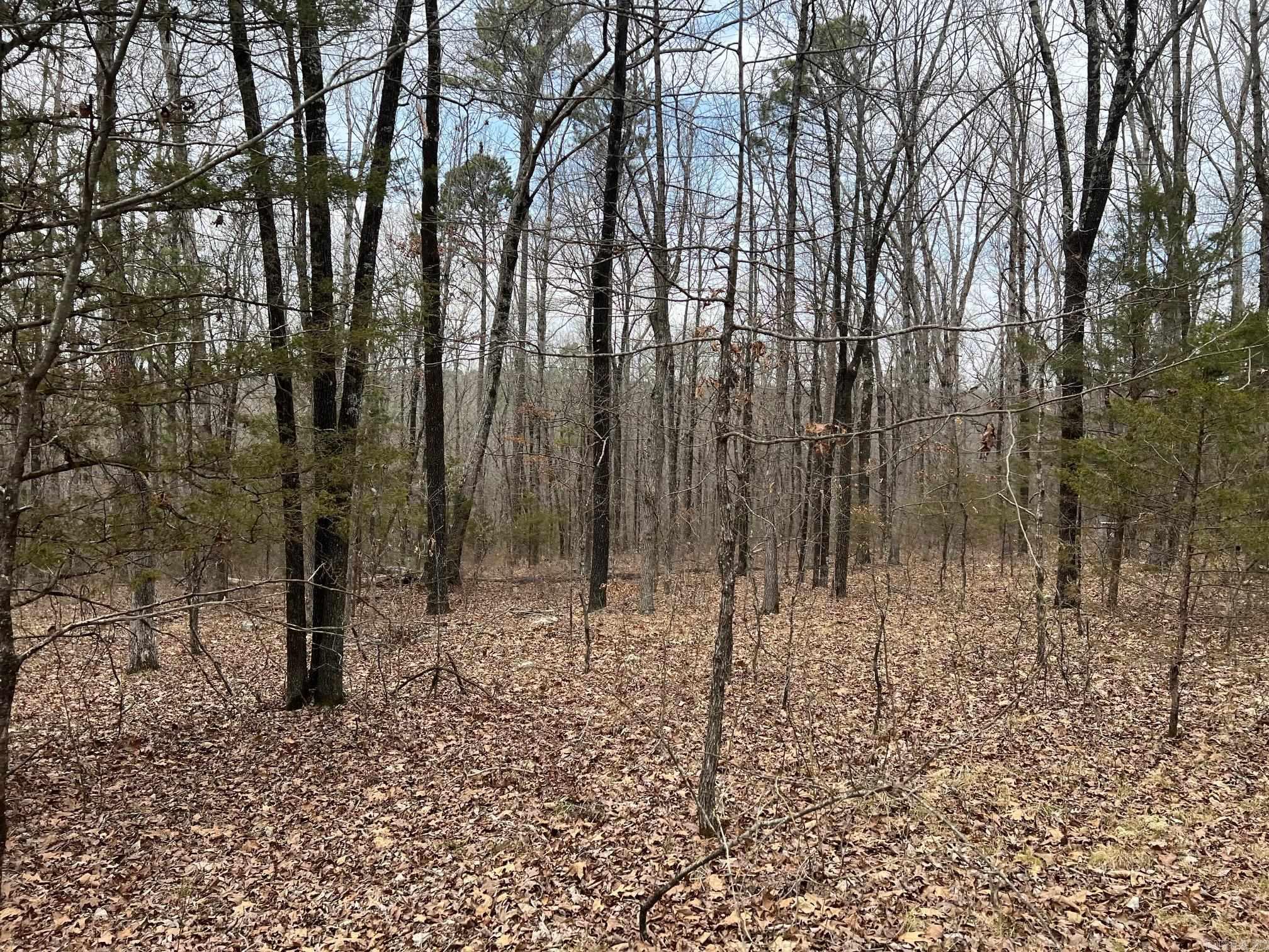 00  Yates Ln  Tumbling Shoals, AR