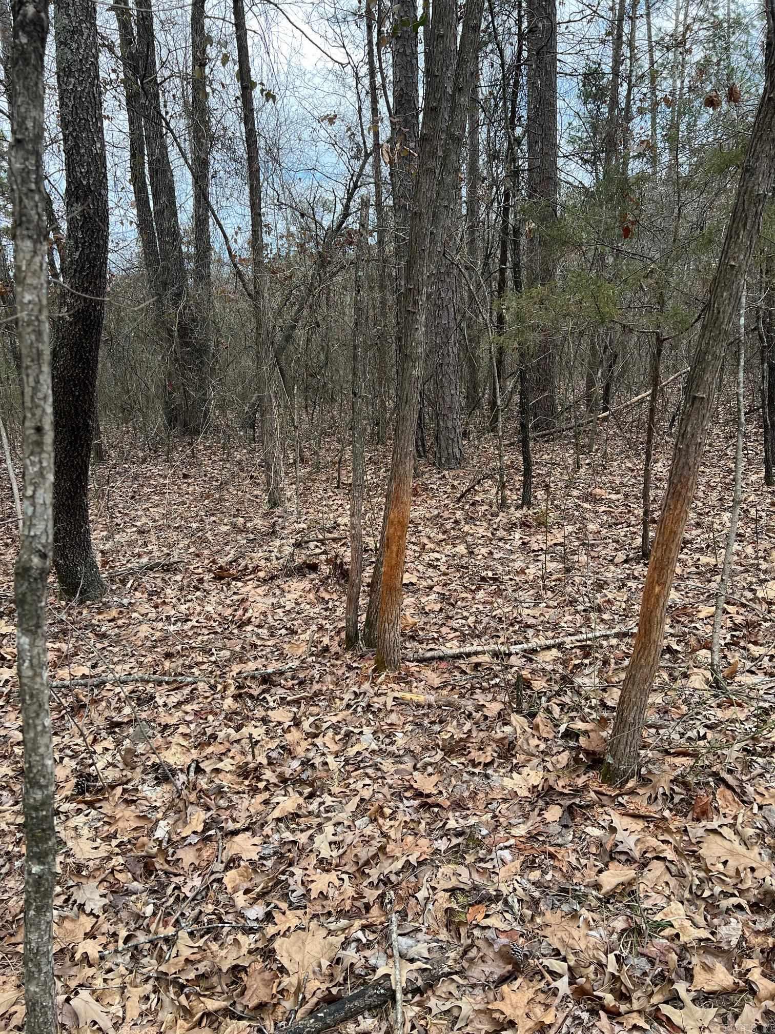 00  Yates Ln  Tumbling Shoals, AR