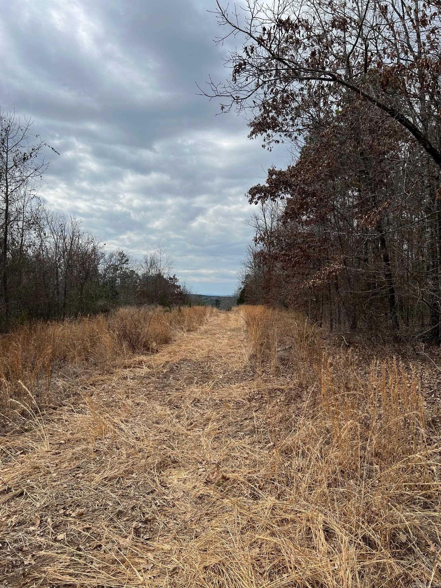 00  Yates Ln  Tumbling Shoals, AR