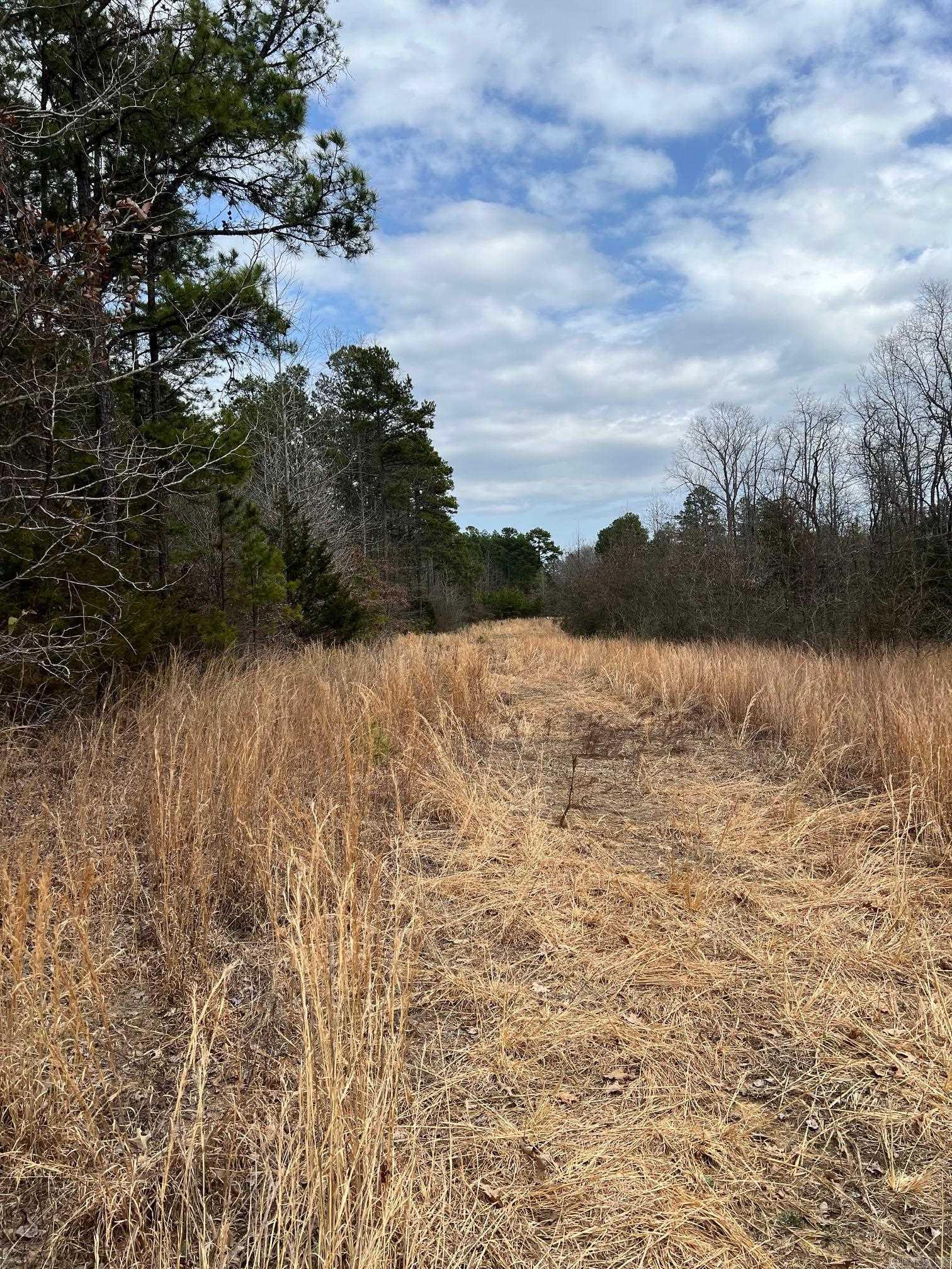 00  Yates Ln  Tumbling Shoals, AR