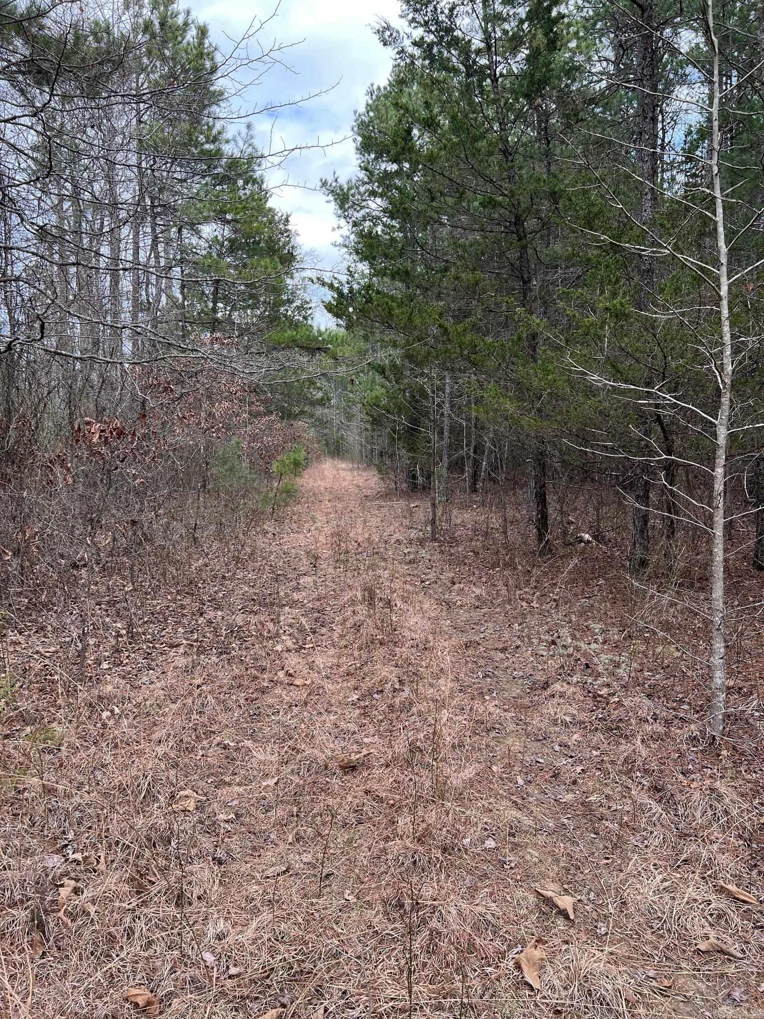 00  Yates Ln  Tumbling Shoals, AR