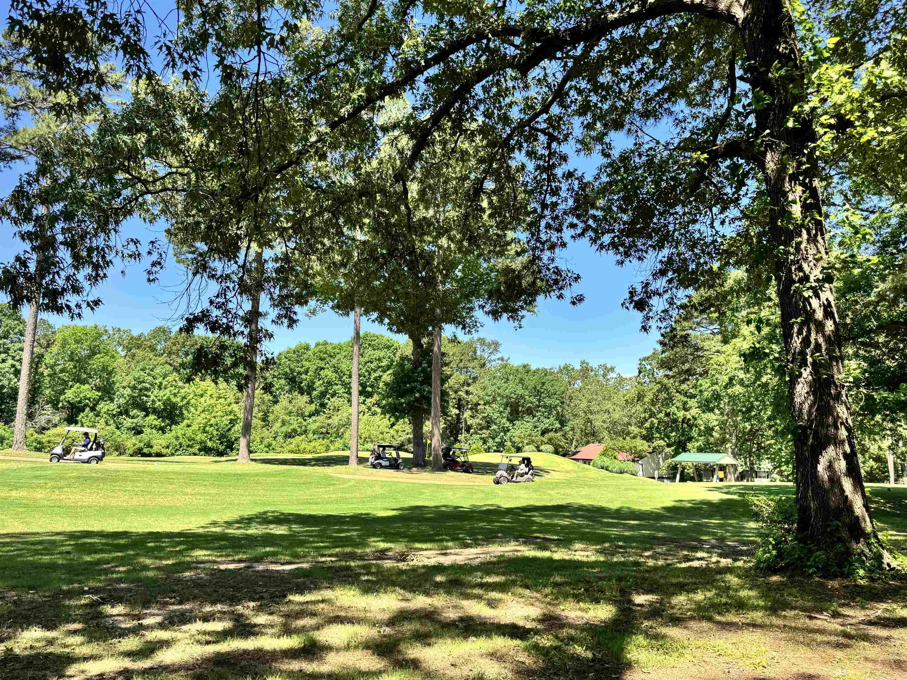 127  EMPERADO Way  Hot Springs Village, AR