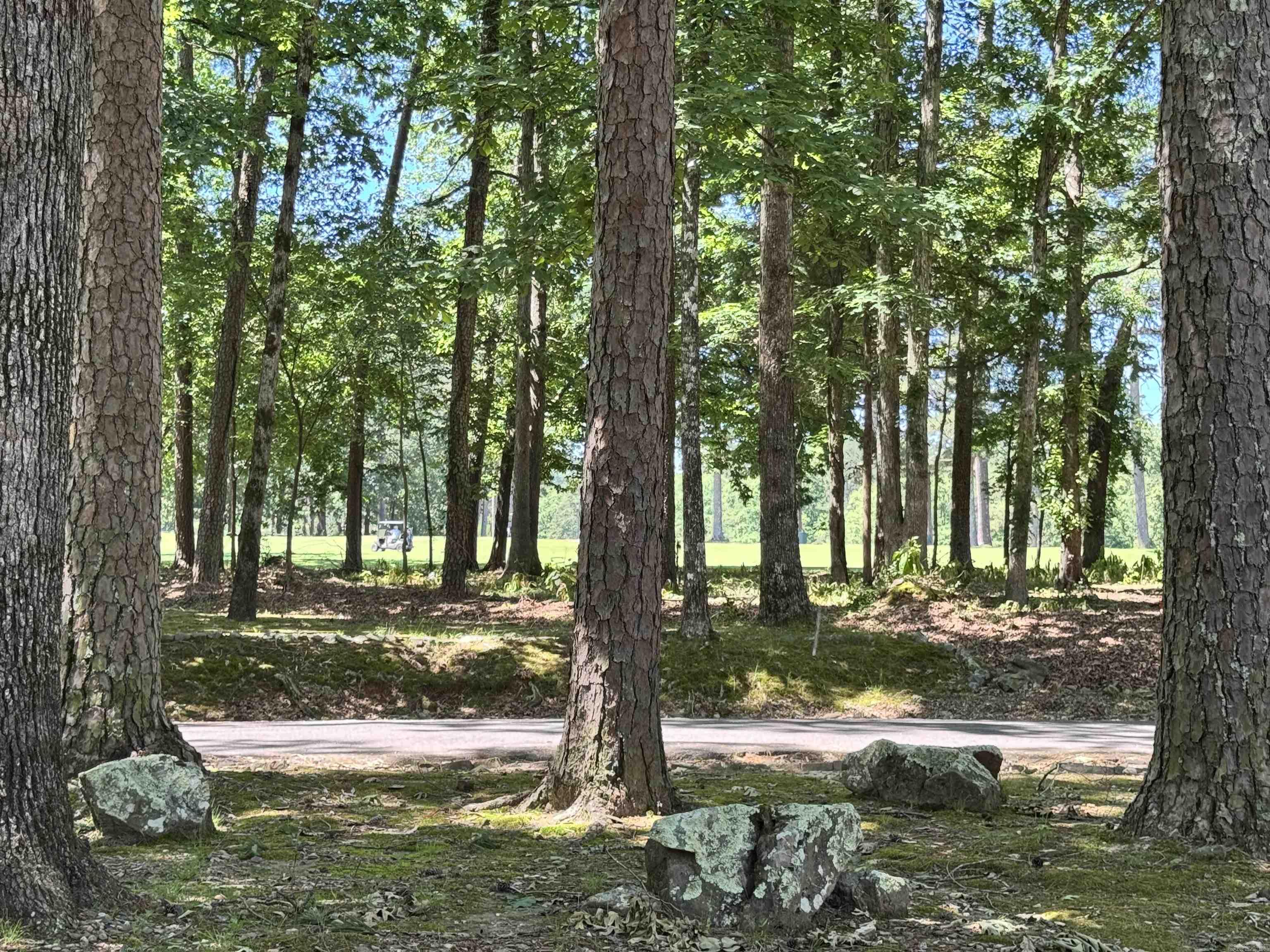 127  EMPERADO Way  Hot Springs Village, AR