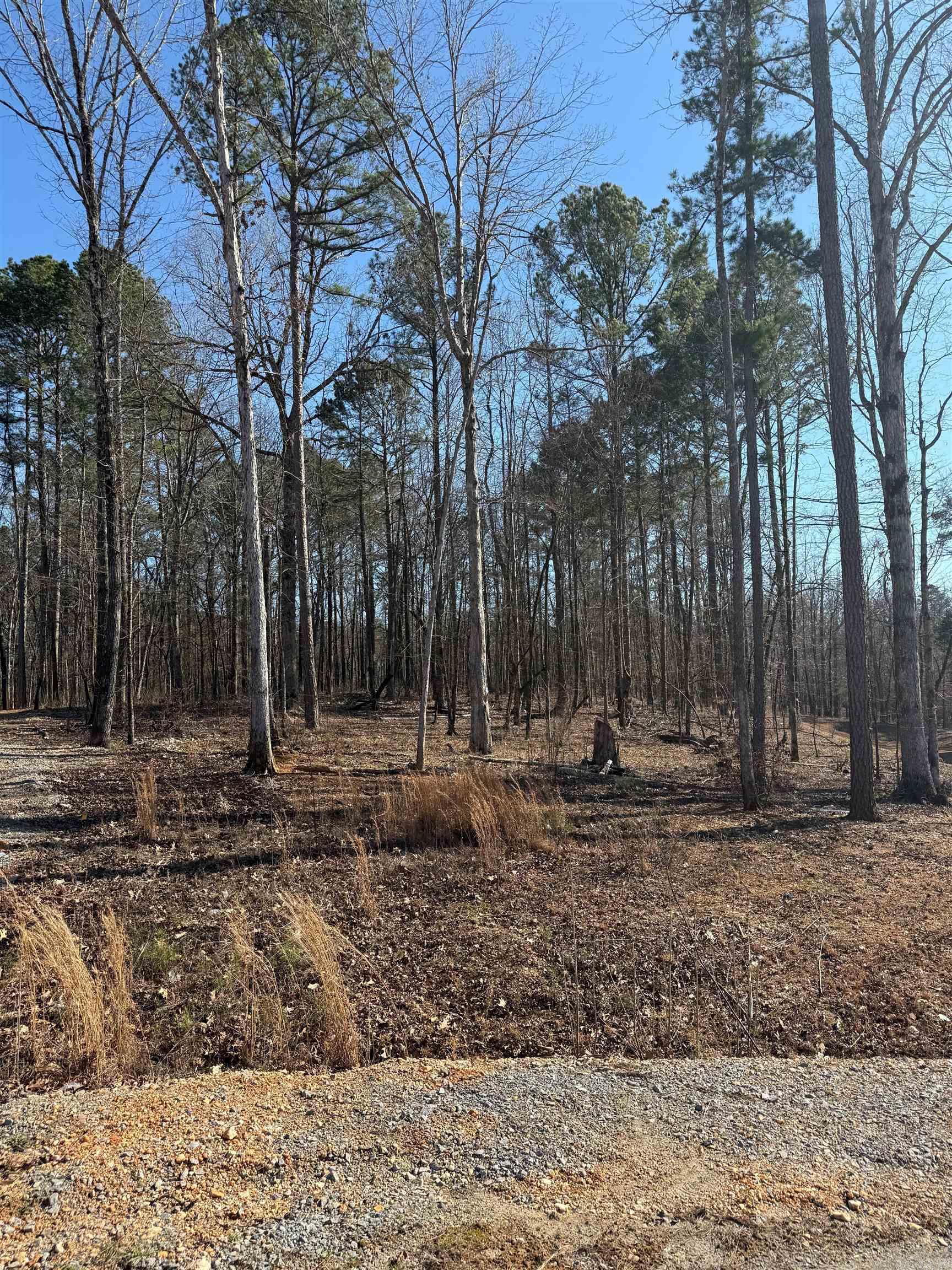 Lot 11  Clear View  Benton, AR