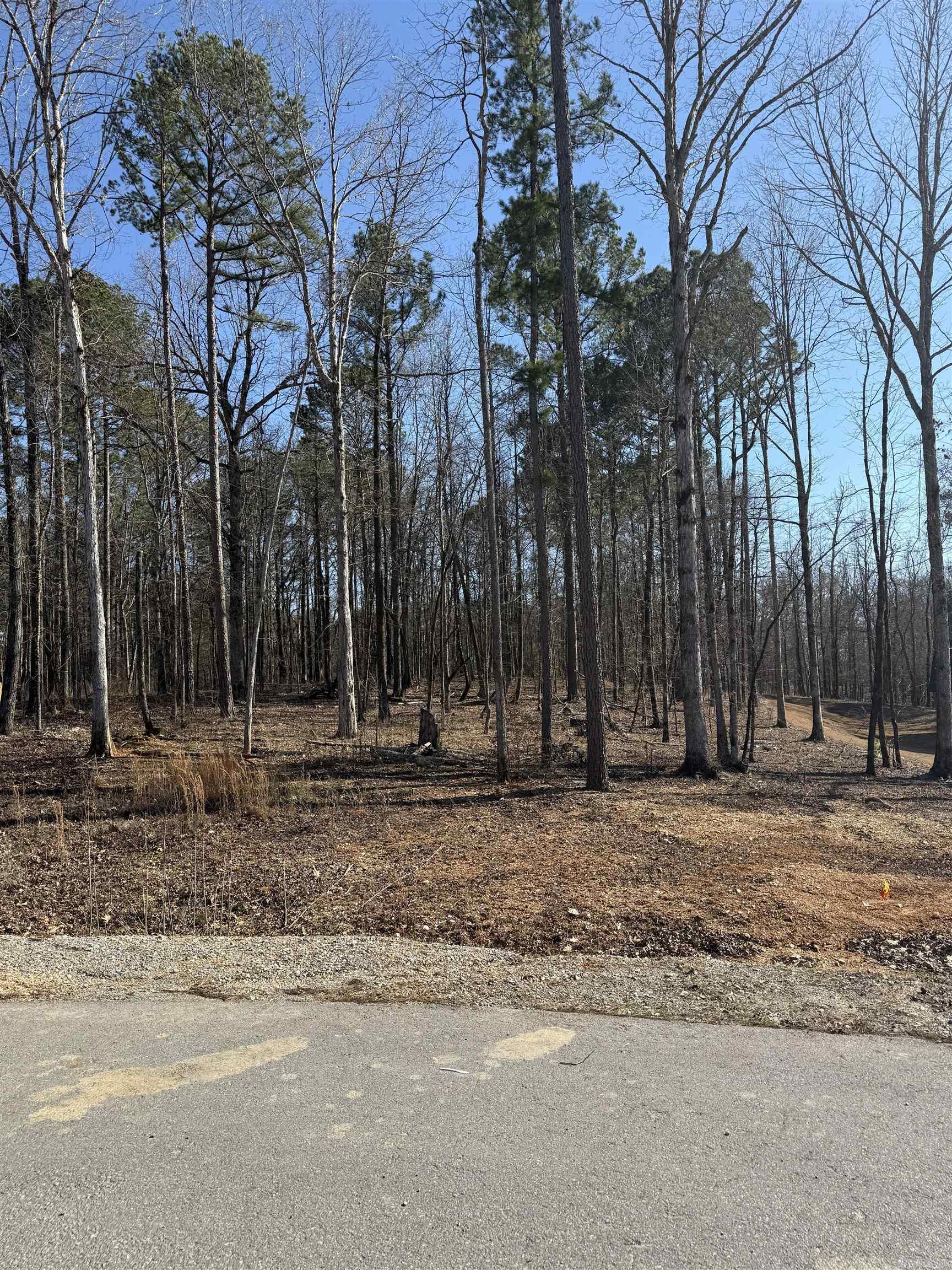 Lot 11  Clear View  Benton, AR