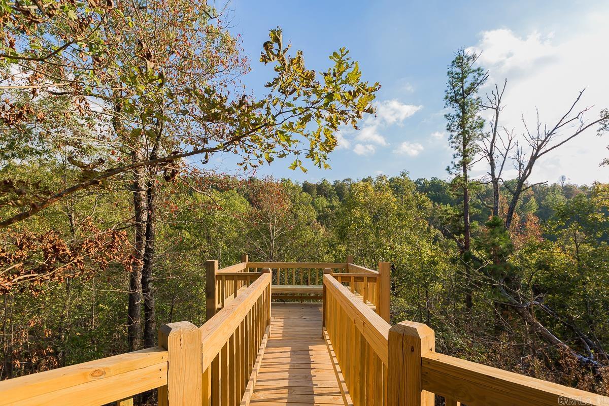 383  Massey Lane  Mena, AR