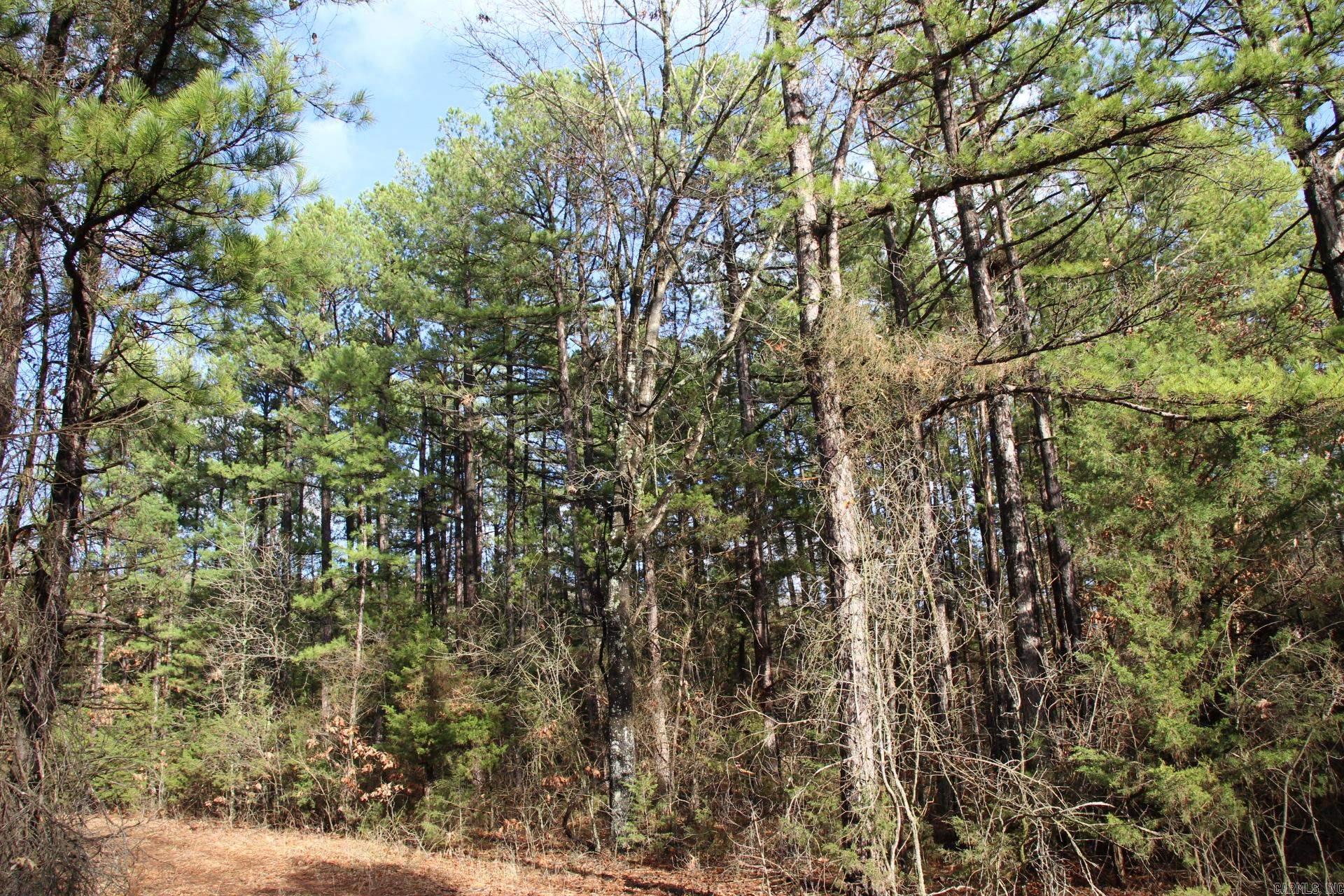 001-04155-000  MC 6011  Yellville, AR