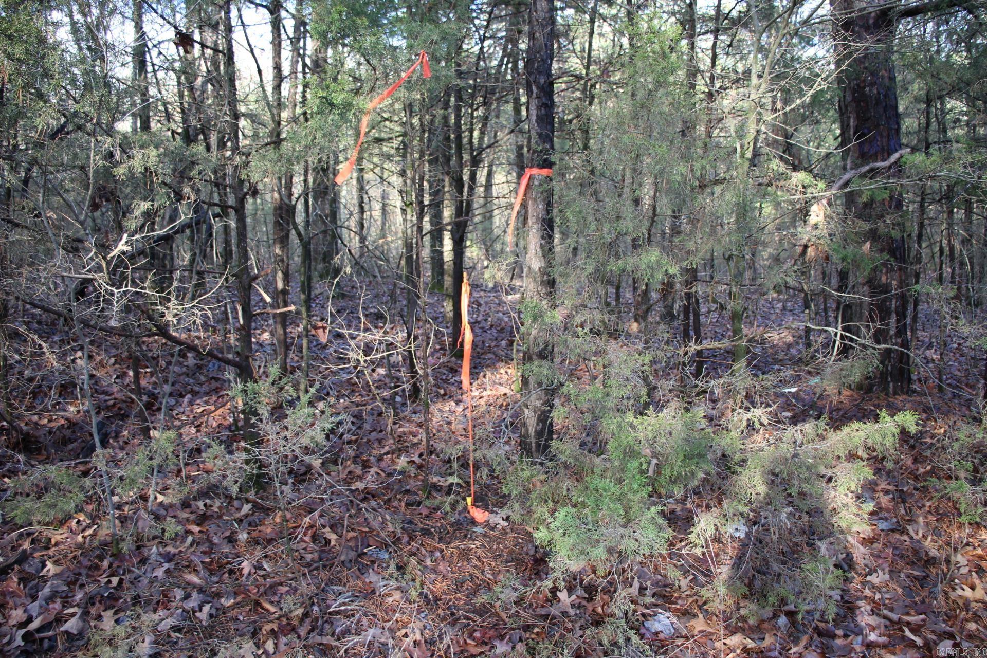 001-04155-000  MC 6011  Yellville, AR