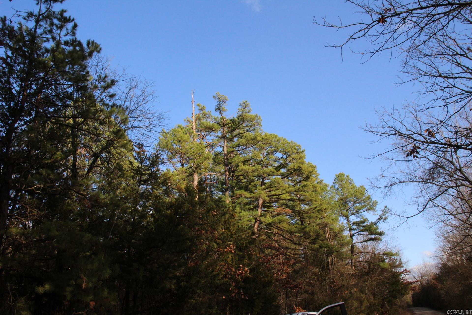 001-04155-000  MC 6011  Yellville, AR