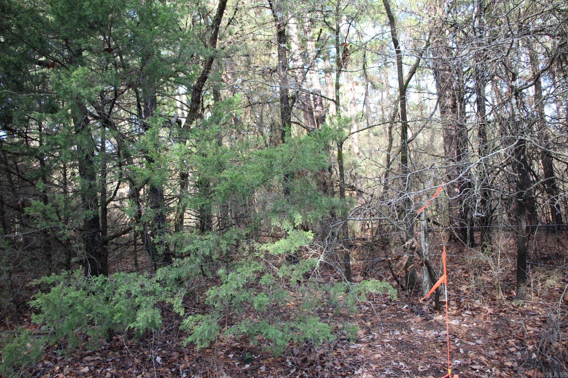 001-04155-000  MC 6011  Yellville, AR