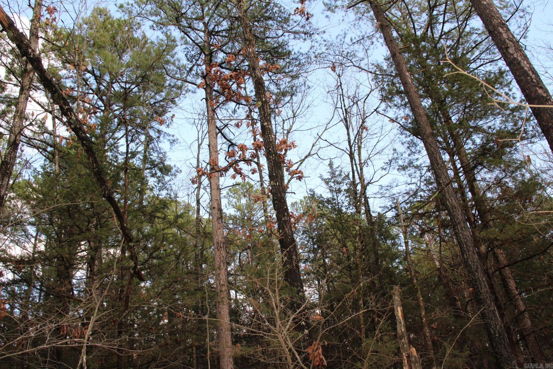 001-04155-000  MC 6011  Yellville, AR