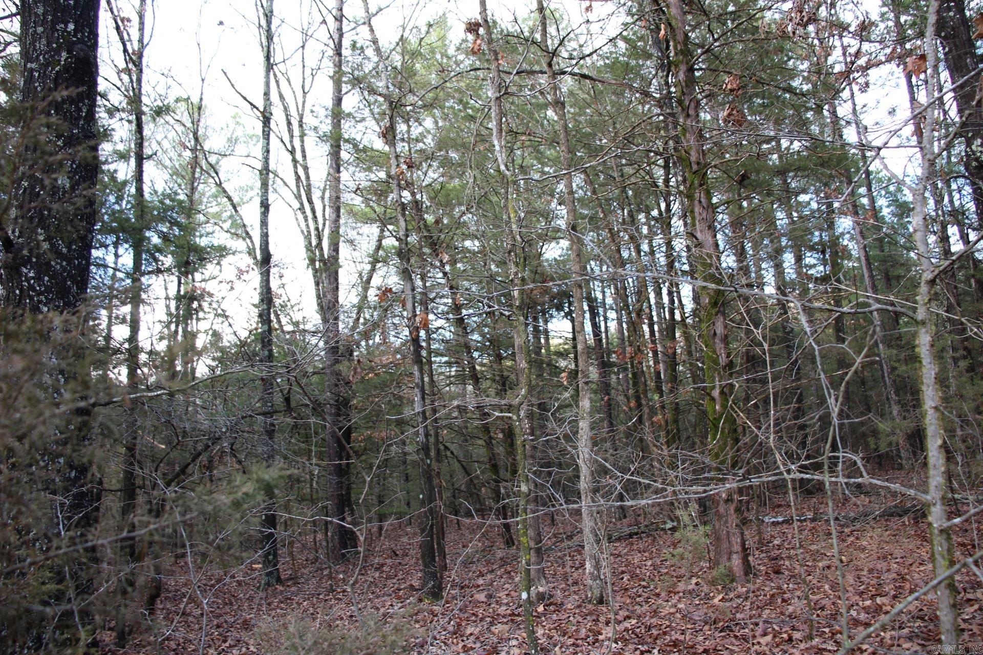 001-04155-000  MC 6011  Yellville, AR
