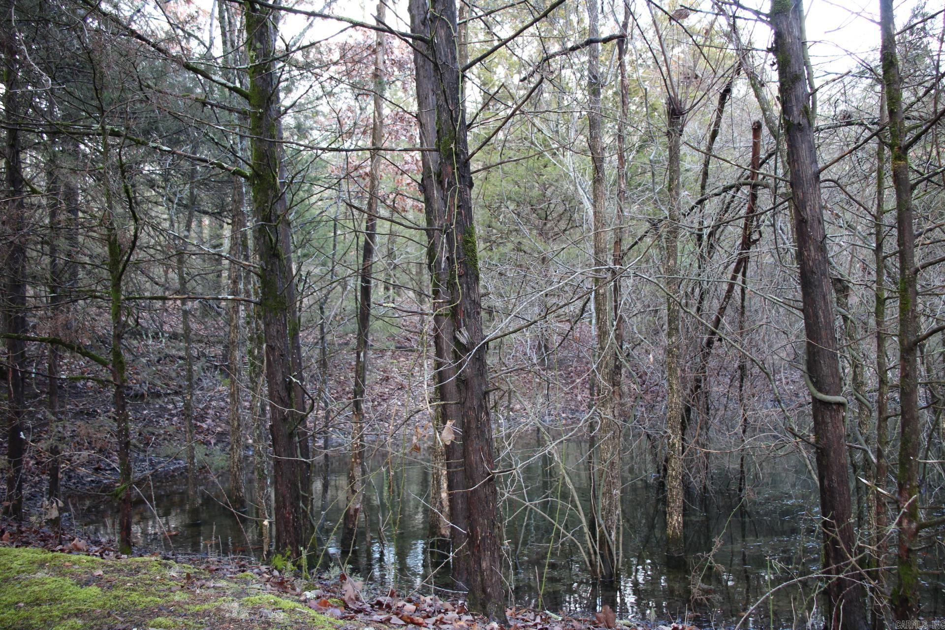 001-04155-000  MC 6011  Yellville, AR