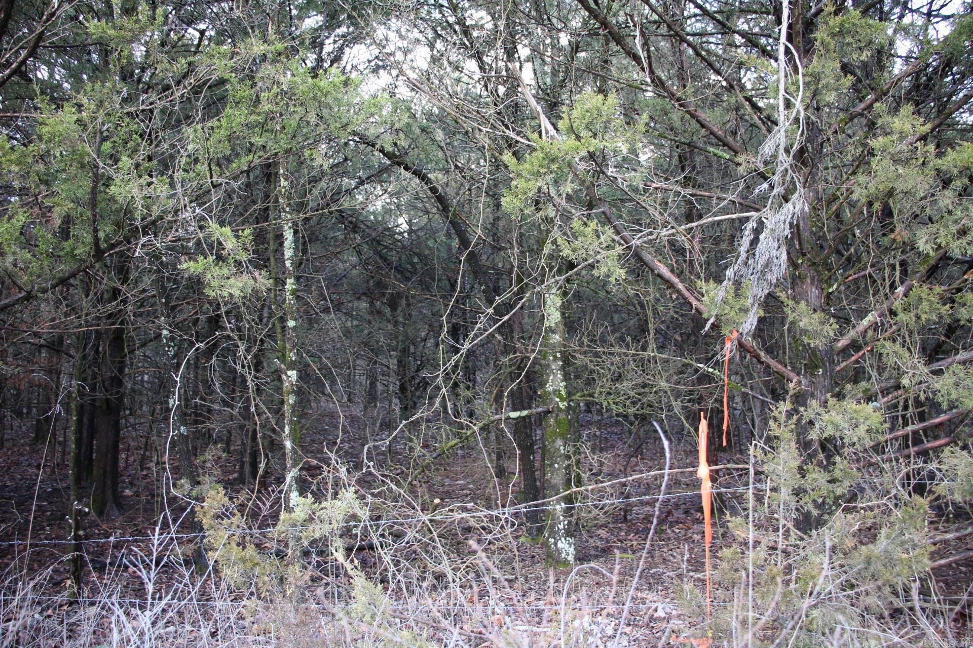 001-04155-000  MC 6011  Yellville, AR