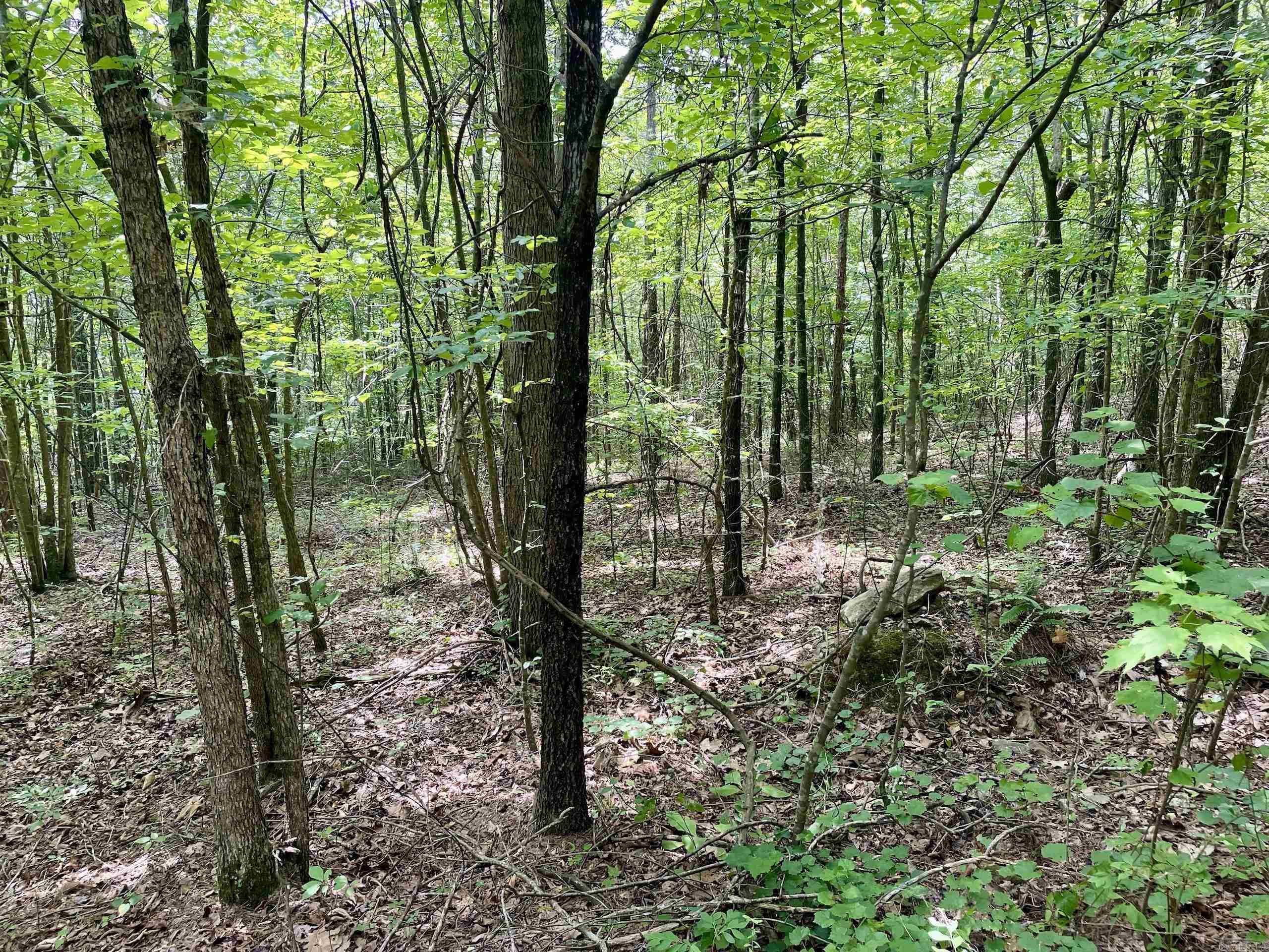 000  HWY 16  Clinton, AR