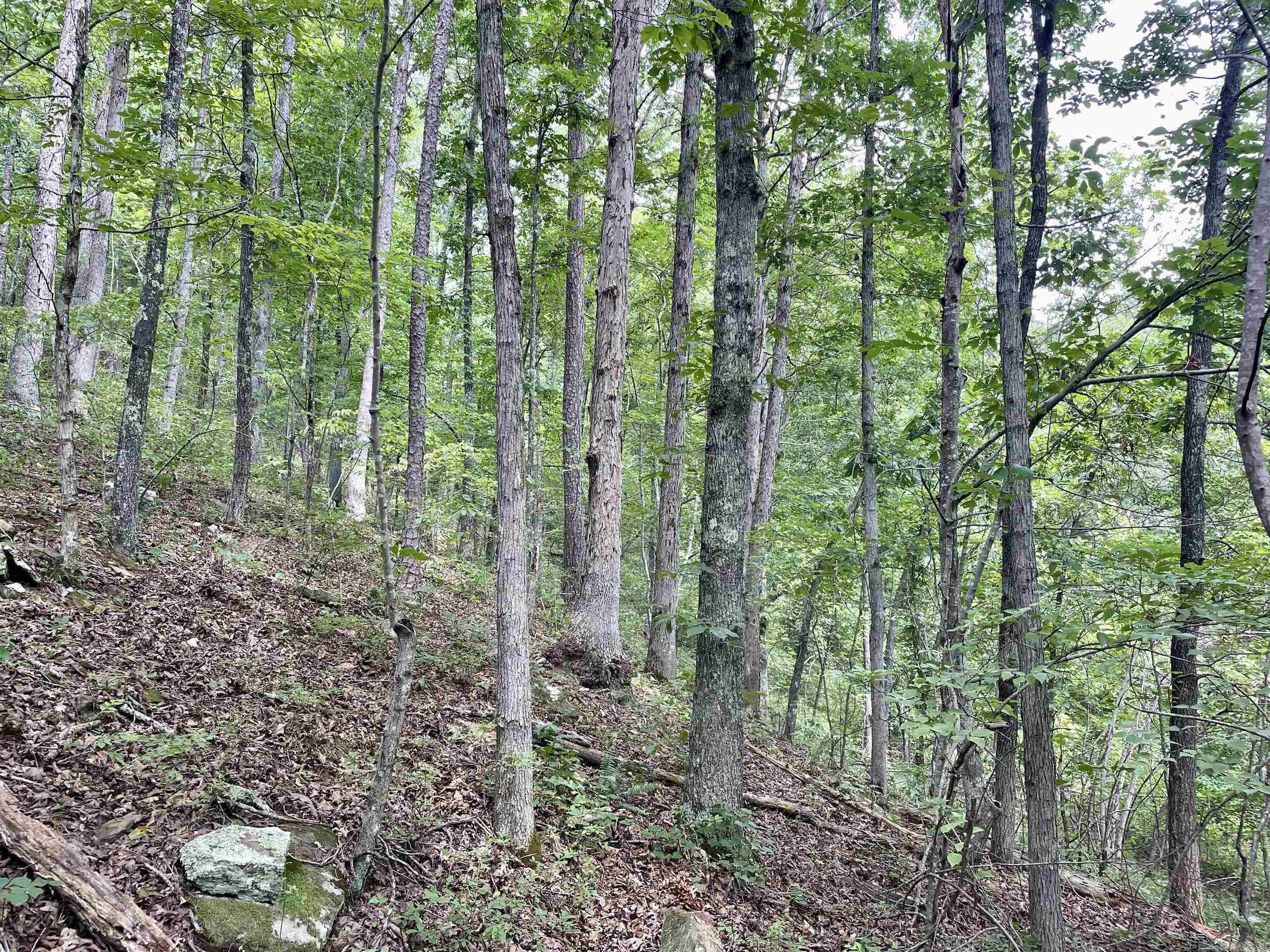000  HWY 16  Clinton, AR
