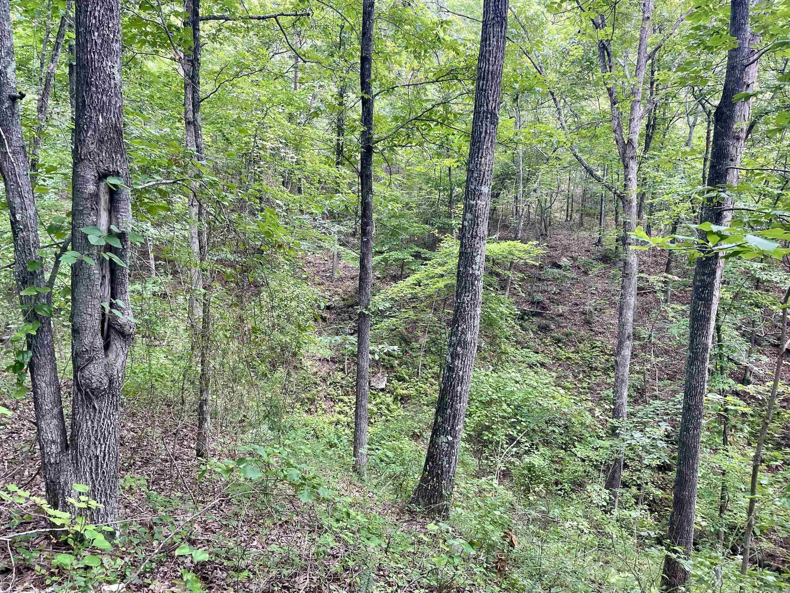 000  HWY 16  Clinton, AR