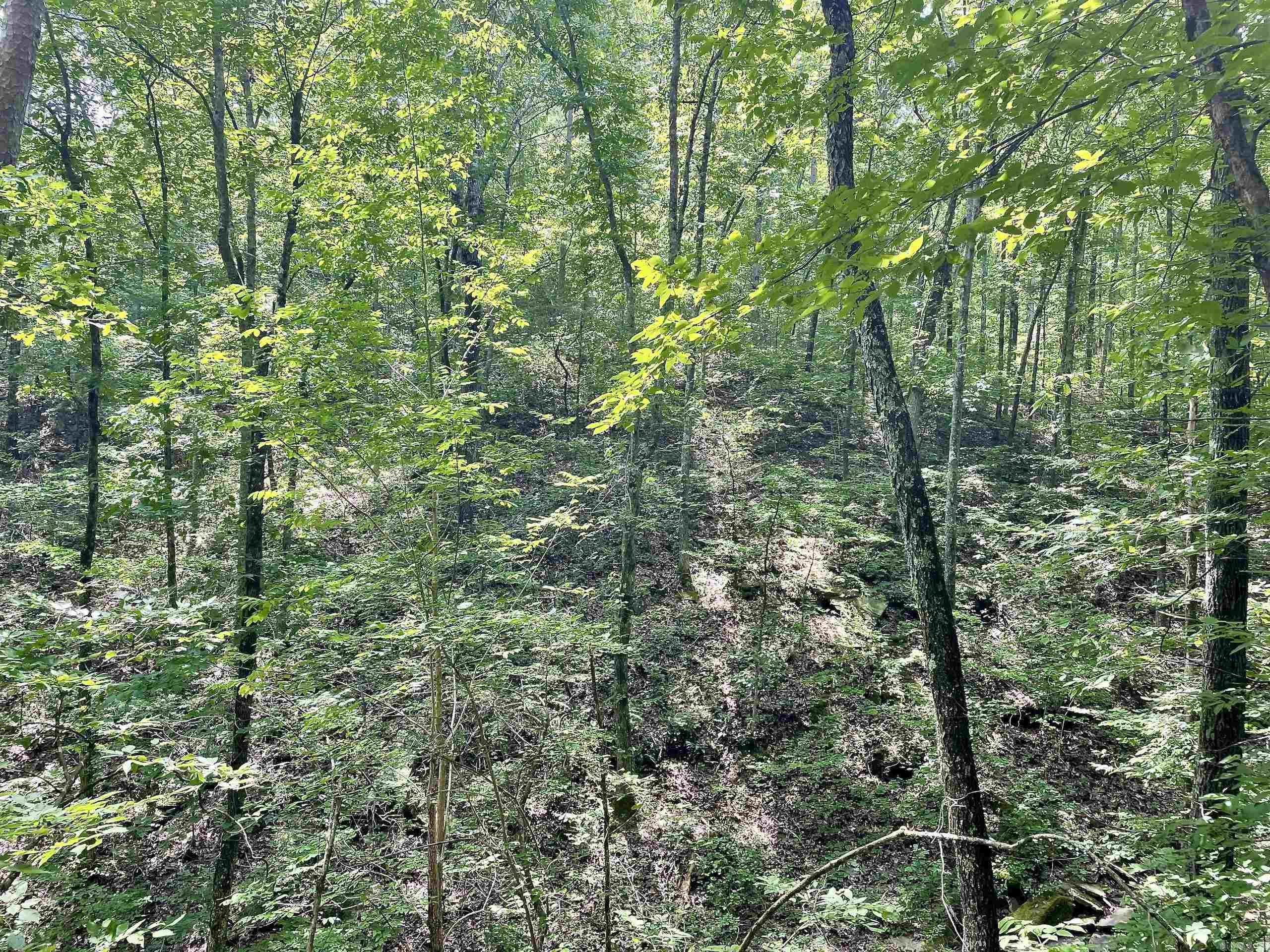 000  HWY 16  Clinton, AR
