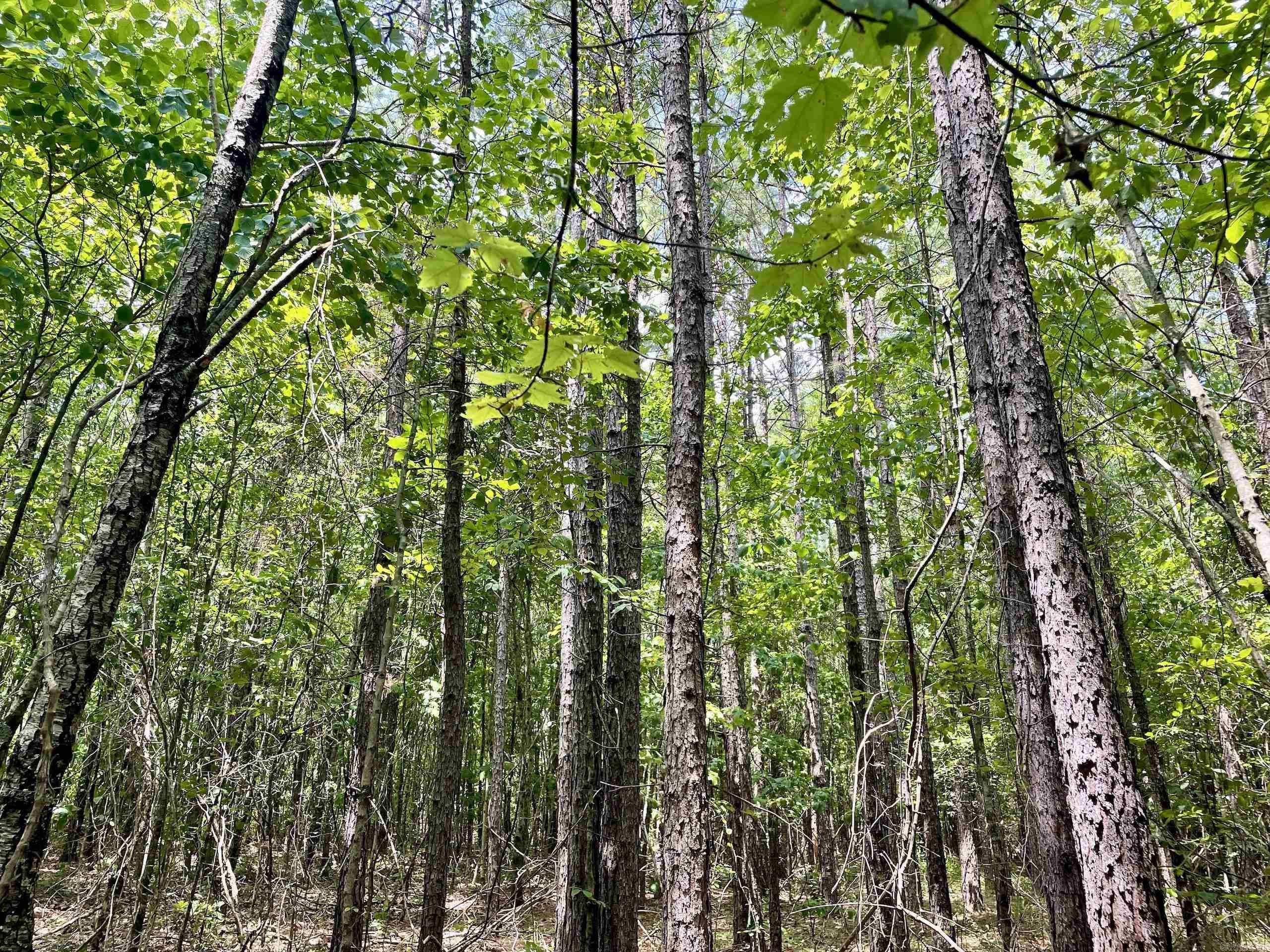000  HWY 16  Clinton, AR
